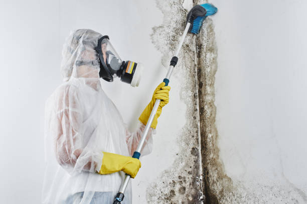 Water damage restoration